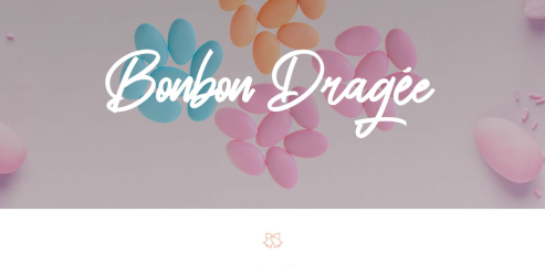 https://www.bonbondragee.fr